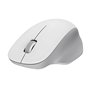 Souris sans-fil Xiaomi BHR9354GL Blanc