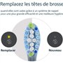 Lot de 4 tetes de brosse - PHILIPS - HX9044/88 - C3 black