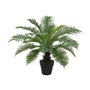 Plante décorative Home ESPRIT PVC Fougère 80 x 80 x 60 cm