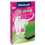 Cat Grass, 120g, Cat