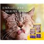 JOSERA Culinesse (1 x 10 kg) | Adulte | Croquettes Premium pour Chats Adultes Difficiles | Saumon & Volaille | Bien toléré | Ten