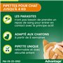 Advantage Chat & Lapin de moins de 4 kg – Pipettes anti puces chat pour prévention des infestations – Traitement anti puces avec