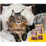 JOSERA Senior (1 x 2 kg) | Senior | Croquettes Premium pour Chats âgés ou souffrant d'insuffisance rénale | Volaille & Riz | Fac