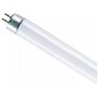 Osram 4008321025050 Tube fluo, G5, 6 W, Transparent