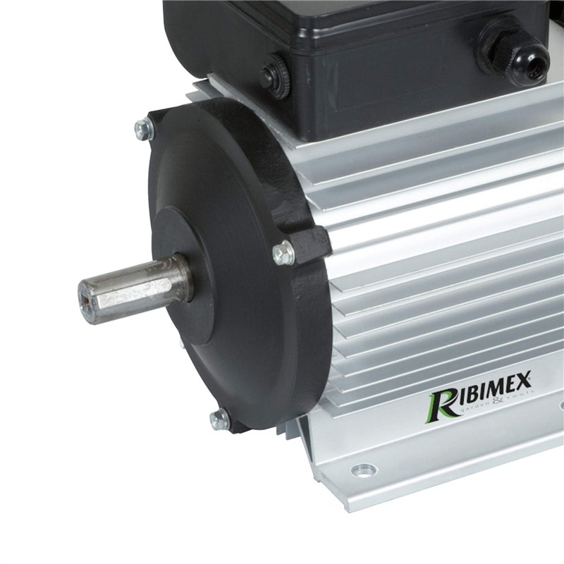 Image secondaire de Ribitech 02730 Moteur 3CV 2750 tr/min 2200 W