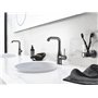 GROHE Essentials - support (surface durable, adaptée au perçage ou au collage), graphite dur, anthracite foncé 40369A01