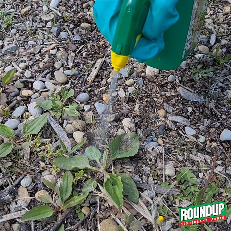 Image secondaire de ROUNDUP RPO3 - Désherbant Jardin Polyvalent Prêt à L'emploi 3 L - Premiers effets visibles en 1h - Elimine mauvaises herbes et mousses
