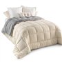 IDMarket - Couette 140x200 CM Zoe Polaire biface Gris et crème 400 GR