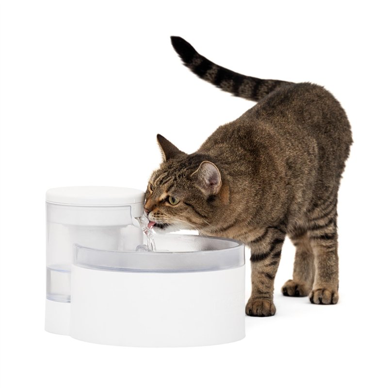 PetSafe Fontaine à Eau Outlast sans Pompe, 1,7 L, Fontaine à Eau pour Petits Chiens et Chats, Passe au Lave-Vaisselle, Assemblage Facile