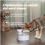 PetSafe Fontaine à Eau Outlast sans Pompe, 1,7 L, Fontaine à Eau pour Petits Chiens et Chats, Passe au Lave-Vaisselle, Assemblag