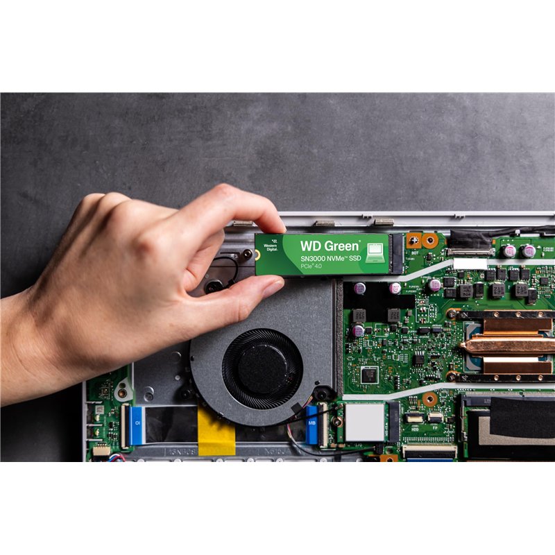 Image secondaire de WESTERN DIGITAL WD Green SN3000 PCIe Gen4 x4 NVMe 2To