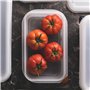 MasterPRO Foodies | Récipient hermétique | 17,6 x 16,2 x 10 cm contenance d'1,7 L | Couvercle double verrouillage | Indicateur d