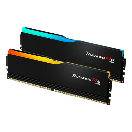 Mémoire RAM GSKILL F5-6000J3636F16GX2-RM5RK
