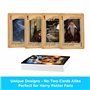 AQUARIUS Harry Potter 52415 Jeu de Cartes en Pierre du Sorcier Multicolore