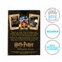 AQUARIUS Harry Potter 52415 Jeu de Cartes en Pierre du Sorcier Multicolore