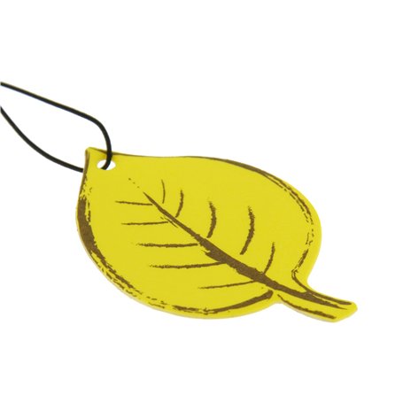 Carlinea 190055 Air Nature Carte Vanille