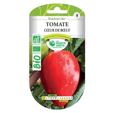 TOMATE Coeur de Boeuf Bio