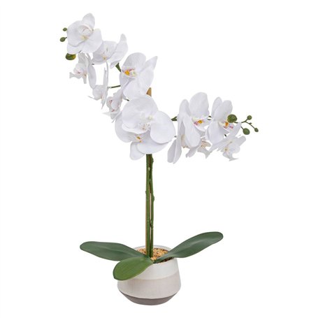 Atmosphera - Orchidée Artificielle clera h52cm Blanc