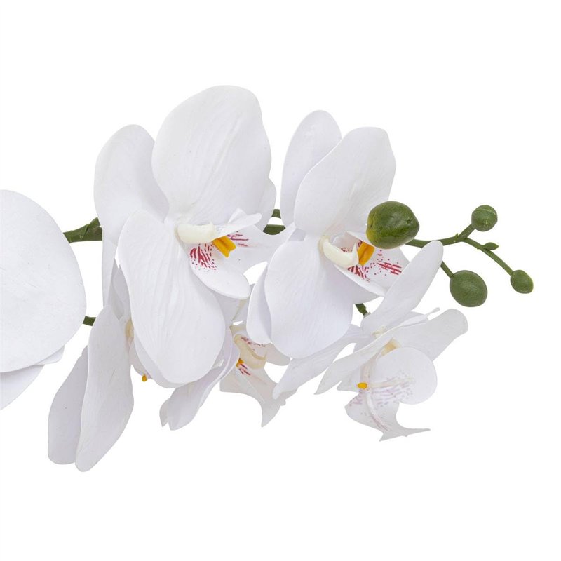 Image secondaire de Atmosphera - Orchidée Artificielle clera h52cm Blanc