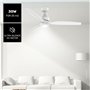 Ventilateur de Plafond Taurus 942121000