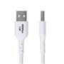 Câble USB Startech USB2AC3MNCWHE Blanc 3 m