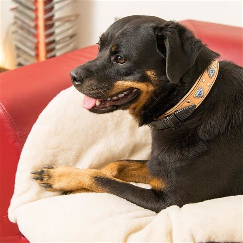 Image secondaire de Coussin - FERPLAST - RELAX 55/4 - 55 x 36 cm - Tissu et fourrure