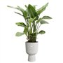 Pot de fleur - Elho - Vibes Fold Coupe - Blanc - L 30 x B 29.5 x H 45 cm - Intérieur - 100% recyclé