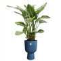 Pot de fleur - Elho - Vibes Fold Coupe - Bleu - L 30 x B 29.5 x H 45 cm - Intérieur - 100% recyclé