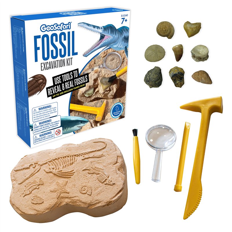 Learning Resources Kit d’excavation de fossiles GeoSafari, M