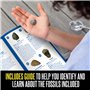 Learning Resources Kit d’excavation de fossiles GeoSafari, M