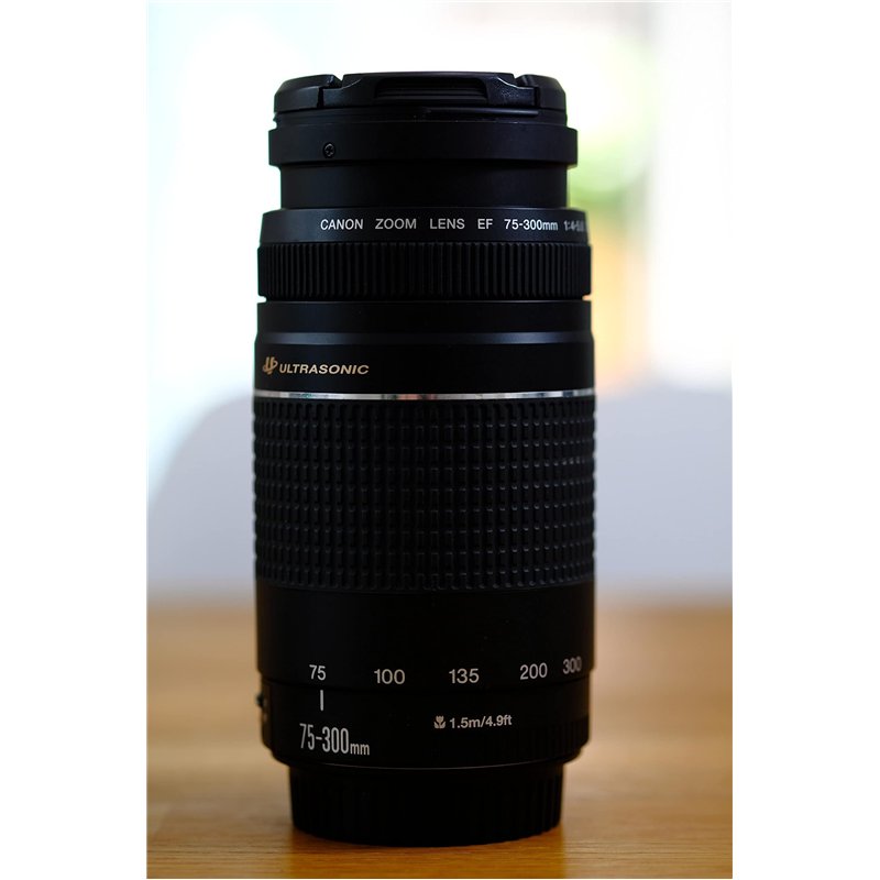 Image secondaire de Canon 6473A003 Objectif pour Reflex EF 75-300mm f / 4.0-5.6 III, noir