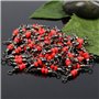 VORCOOL 100 Pcs 3 Way émerillons Rolling T pivotant Leurre T-Turn 3 Voies pivotant Articles de Pêche Accessoires (Rouge)
