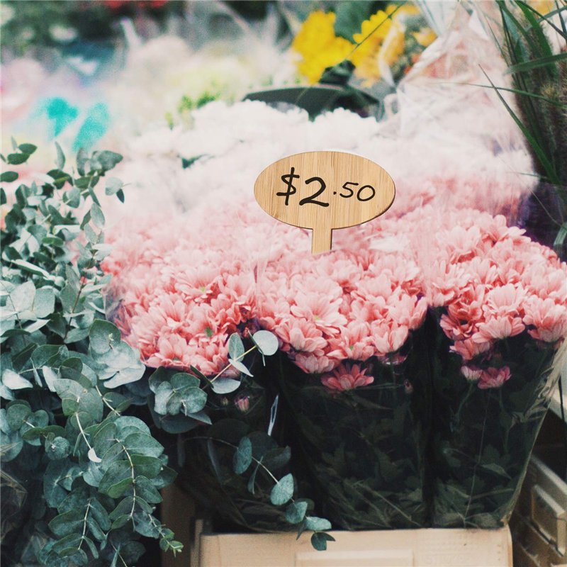 Image secondaire de SAVITA 10x6cm 30pcs Étiquettes De Plantes en Bois Étiquettes De Jardin Ovales pour Plante en Pot Graines Fleurs Herbes Légumes