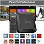 TV Box Android 10.0 Boitier TV 2GB RAM 16GB ROM Mini Smart TV Box,4K HD/3D/ Quad Core H313 64 Bits/2.4GHz WiFi/LAN10/100M Lecteu