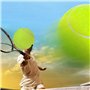 TIMESETL Balles de Tennis avec Corde 3 Pcs, Balle d'Entraînement Élastique pour Entraîneurs, Adultes, Débutants, Entraînement So