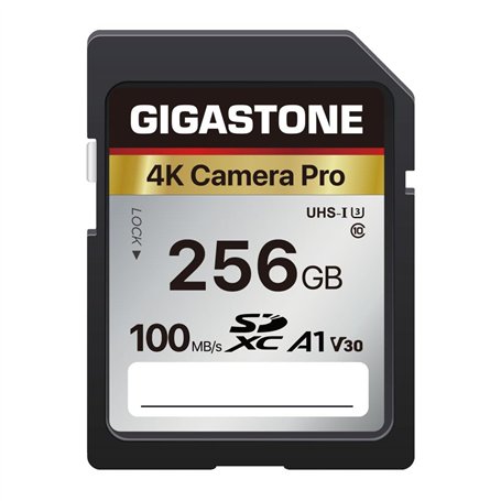 Gigastone Carte Mémoire SDXC 256 Go