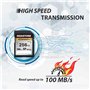 Gigastone Carte Mémoire SDXC 256 Go, 4K Pro Série, Vitesse de Transfert allant jusqu'à 100 Mo/s. Compatible avec Caméra Canon Ni