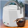 Cuiseur de Riz électrique portable multifonctionnel
