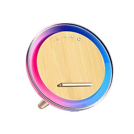 BLAUPUNKT Enceinte Bluetooth puissante - Enceinte Bluetooth Portable - Enceinte Portable - Enceinte étanche - sans Fil - Enceint