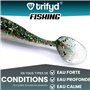 trifyd ® Fishing - Leurres Souples shad de 10 cm pour brochet ou Tous Types de canassiers, Le Pack de 5 leurres de pêche + 2 têt