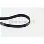 Continental Contitech 6PK1660 Courroie trapézoïdale à nervures