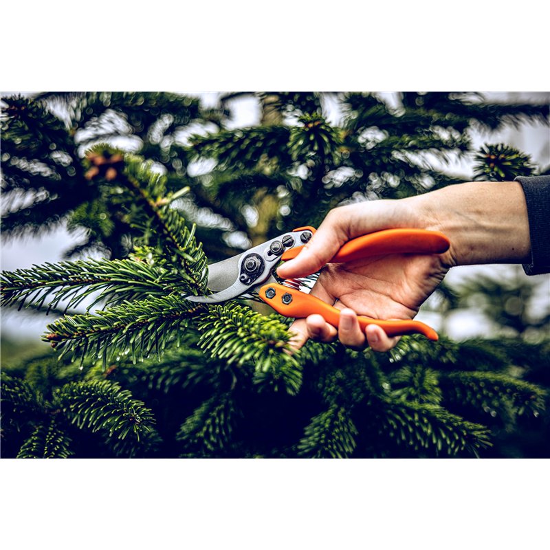 Image secondaire de Loewe 11104 Sécateur à lame tirante Poignée ergonomique 21 cm Pour branches jusque 25 mm (Import Allemagne)