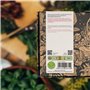 Plantes du monastère - Coffret cadeau de semences avec 11 herbes médicinales traditionnelles