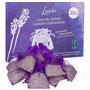 LAVODIA Sachets Parfumés Lavande - 20 Sachets de 6 g pour Armoire