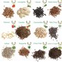 Assortiment graines
