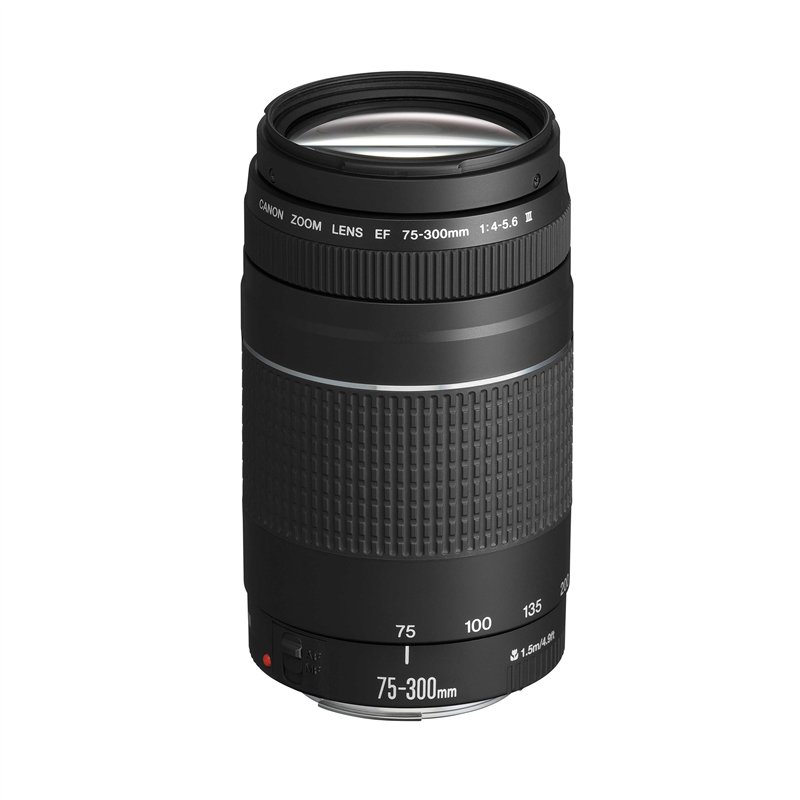Canon EF 75-300mm f/4.0-5.6 III Objectif [Ancien Modèle]