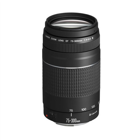 Canon EF 75-300mm f/4.0-5.6 III Objectif [Ancien Modèle]