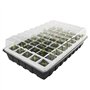 Outiror KIT DE Germination Lot DE 2