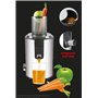 BEPER 90.424 Extracteur de Jus Centrifugeuse, Argent/Noir, 2.5 L, 800 W