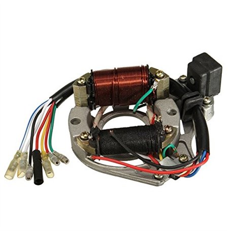 Alamor 50Cc 110Cc 125Cc 2 Bobine ATV Quad Stator Bobine D'Allumage Plaque Magnéto Chinoise